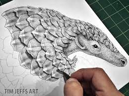 Pangolin scales are made of keratin, the same material that makes up fingernails, hair, and horn. Pangolin Progress Pic 3 Drawing With A Tombow Zoom L105 Ballpoint Pen Pangolin Art Squirrel Tattoo Pangolin