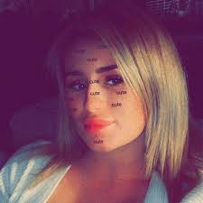 Can anyone help with scratching in the attic don't know if it's mice or  birds who can I get intouch with to get rid of them as it will be quicker  than