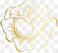Are you searching for rose gold border png images or vector? Golden Rose Png Free Download Rose Gold Flower Golden Rose