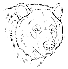 I really hope this tutorial / guide is useful. How To Draw Grizzly Bears Step By Step Drawing Guide By Makangeni Dragoart Com