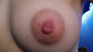Womens Breasts Close-up: Nipples Homemade Porn | xHamster