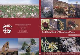 Image result for Gunillaea rhodesica