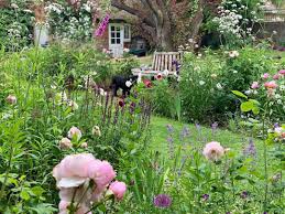 Jo Thompson Landscape Design On Instagram Just Over A Year Ago We Planted A Garden We Recorded It In The Book Rhuba In 2020 Landscape Design Garden Plants Plants