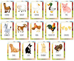 Check spelling or type a new query. Farm Animals Vocabulary Flashcards Esl Resources
