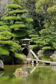 Jardin Japonais Quelles Plantes Et Arbres Pour Un Jardin Zen Beaux Jardins Jardin Asiatique Et Jardins