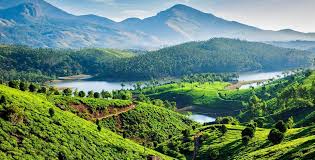 Munnar in July