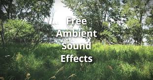 Sound effects and soundscapes in mp3, wav, ogg, m4a (and more). 100s Of Free Ambient Sound Effects Easy To Download Free For Video