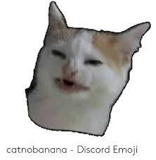 This emoji shows a personified sad, crying cat with a … crying cat face emoji can be used in different contexts generally to indicate sadness about a message you just got or when you have to tell someone sad or bad news. Catnobanana Discord Emoji Emoji Meme On Me Me