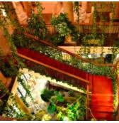 We did not find results for: Hospederia Bodas De Camacho Munera Albacete