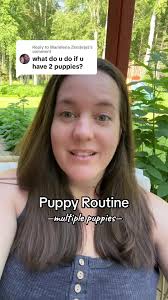 How to Stop Dogs from Potting in The Kennel