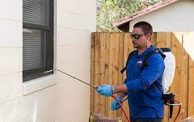 Bay area lawn & pest control are experts in lawn spraying and irrigation repair and we know what it takes to keep your st. Effective Pest Control In St Augustine Florida