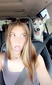 Rottweiler and Pug dog picture shared by owner