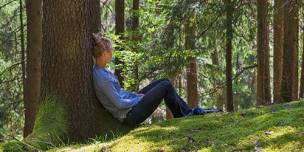 Nature & Forest Therapy Session | Ballarat...