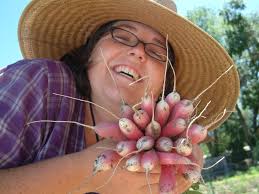 Planting Seeds for Community Needs: Project Feed The Hood