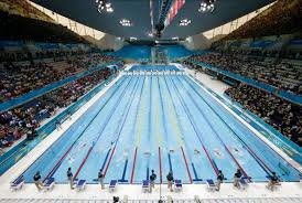 Swimming has been a sport at every modern summer olympics. 8 Best Olympic Size Swimming Pool Ideas Olympic Size Swimming Pool Swimming Pools Swimming