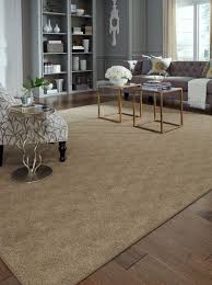 Prato Color 00774 From Tuftex Carpets Of California Available In Area Rugs And Broadloom Carpet Painting Carpet Wall Carpet