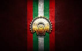 Free download frolunda vector logo in.eps format. Download Wallpapers Frolunda Hc Golden Logo Shl Green Metal Background Swedish Hockey Team Swedish Hockey League Swedish Hockey League Frolunda Hc Logo Hockey For Desktop Free Pictures For Desktop Free