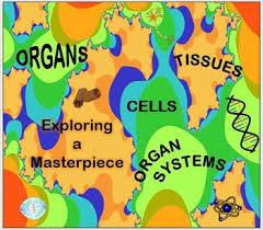 Check spelling or type a new query. Cell Tissue Organ Organ System Worksheets Teaching Resources Tpt