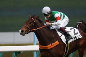 競馬データベースです。競走馬、騎手、レース、調教師、馬主。 11 r 第25回マーメイドステークス(g3) 芝右2000m / 天候 : ãƒžãƒ¼ãƒ¡ã‚¤ãƒ‰ã‚¹ãƒ†ãƒ¼ã‚¯ã‚¹2020ã®ç«¶é¦¬äºˆæƒ³åˆ†æž 3ã¤ã®ãƒ‡ãƒ¼ã‚¿ã‹ã‚‰å°Žãå±é™ºãªäººæ°—é¦¬