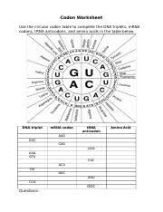 Codon worksheet answer key pdf#2331818. Codon Worksheet Codon Worksheet Use The Circular Codon Table To Complete The Dna Triplets Mrna Codons Trna Anticodons And Amino Acids In The Table Course Hero
