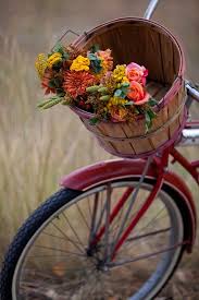 70 Herbstblumen Als Dekorative Blumenarrangements Blumen Herbstblumen Blumen Fotografie