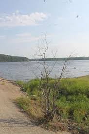 Check spelling or type a new query. V Kalinskom Teplo No Gryazno Na Karere Karpinska Voda Ne Progrelas A Vy Gde Kupaetes