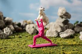 1 background 2 personality 3 appearance 4 abilities. Brogamats Yoga Joes Limited Edition Hot Pink Bnib Gi Joe Figure Gift 1821024719