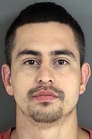 Man says grandson stole gun, laptop and iPod from his home