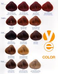 ash hair color chart jasonkellyphoto co