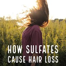 A., bowen j., kealey t. Can Sodium Lauryl Sulfate Cause Hair Loss My Honest Hair Loss Reviews