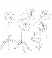 Set Of Flowers Pansies Black And White Vector Drawing Fo Violet Flower Drawing Black And White Violet Tattoo Flower Black Violet Tattoo Flower Black And White