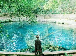 Sehubungan dengan akan datangnya musim liburan pertengahan tahun, maka dengan ini kami informasikan bahwa mulai tanggal 1 april 2018 sampai dengan 15 mei 2018, harga tiket taman matahari yang berlaku adalah harga tiket hari libur yaitu rp. Taman Cattleya Sejarah Spot Foto Fasilitas Jam Htm