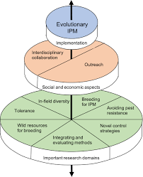 Secondary pests require control only under certain conditions, such as the elimination of. Making Sense Of Integrated Pest Management Ipm In The Light Of Evolution Karlsson Green 2020 Evolutionary Applications Wiley Online Library
