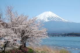 Northern Shores Of Lake Kawaguchi Best Mt Fuji Sakura Spots Selected Onsen Ryokan Best In Japan Private Hot Spring Hotel Open Air Bath Luxury Stay