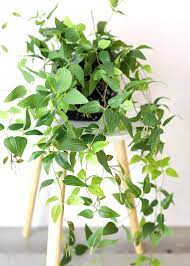 artificial plants hanging tradescantia houseplant 41 long in 2021 fake decor round galvanized wall planter