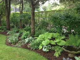 Shade Garden Plans One Month Old Border Garden Garden Ideas Under Trees Shade Landscaping Shade Garden Design