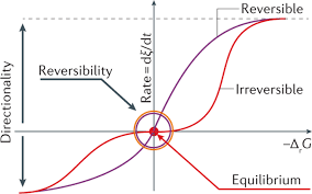 Has been added to your cart. Reversible Catalysis Nature Reviews Chemistry
