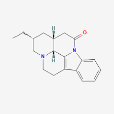 Image result for Tabernaemontana eglandulosa