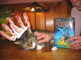 Whatever One Day This Cat Will Find Me And Rip Out My Throat