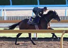 宝塚記念で競走中止のマイユニバース 急性心不全のため死亡 JRA発表