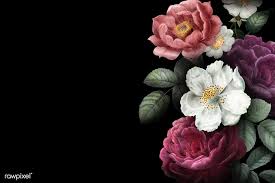 Black Background With Rose Border Beautiful Hand Drawn Rose Themed Border Free Image By Rawpixel Com Roses Drawing Flower Background Wallpaper Flower Backgrounds