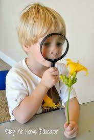 Dump your glasses, avoid the laser and recover your natural eyesight. Three Preschool Sense Of Sight Activities Stay At Home Educator
