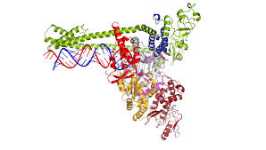 Aber welche regeln gelten eigentlich aktuell? Bqz4myprvfwgom