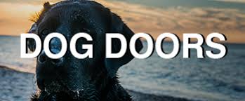 Big Dog Door