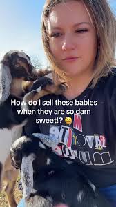 Ways to Make Money Off A Baby Goat