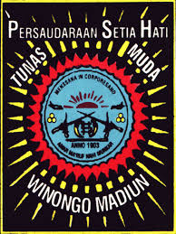 4.warna hitam sebagai dasar lambang. 28 Macam Perguruan Silat Indonesia Singkat Penjelasan