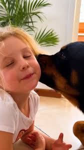 They might have too much fun together 🤪💛, Keep up with Zamba and Gia  Stylish Paws