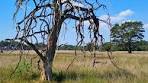 De Hoge Veluwe National Park in the Netherlands ... - TikTok