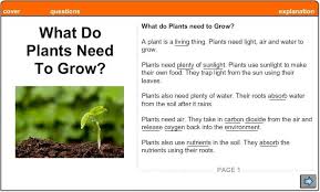 What Do Plants Need To Grow Plants Plant Needs Growing