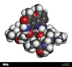 Image result for Dactinomycin